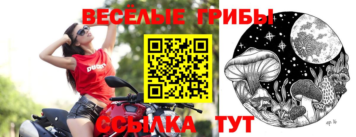 Нягань  Галлюциногенные грибы Magic Shrooms  Вход с VPN  Псилоцибиновые грибы Magic Shrooms 