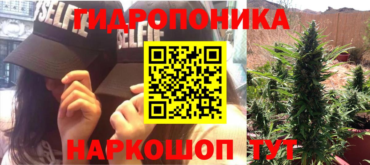Бошки Шишки White Widow  Вход с VPN  Каннабис White Widow  Нягань  Конопля марихуана 